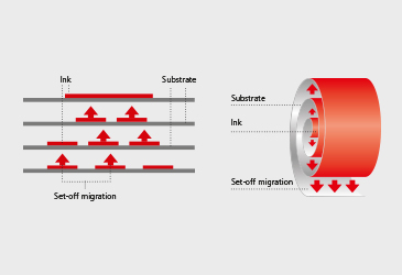 Migration Risks